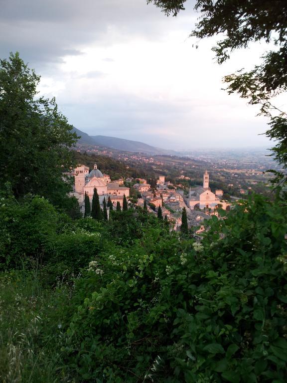 La Corte Degli Angeli Locazioni Turistiche Assisi Luaran gambar